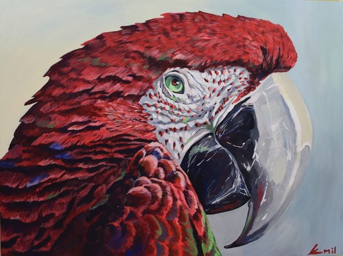 "The Red Parrot"