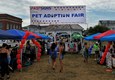 Randy's Canvas - Pet Adoption Fair