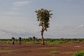 Watinooma, Burkina Faso