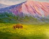 buffalo-mountain