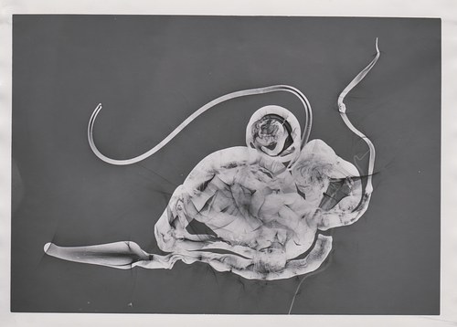 Specimen #4