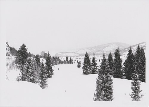 Camp Hale, Colorado Winter 2025