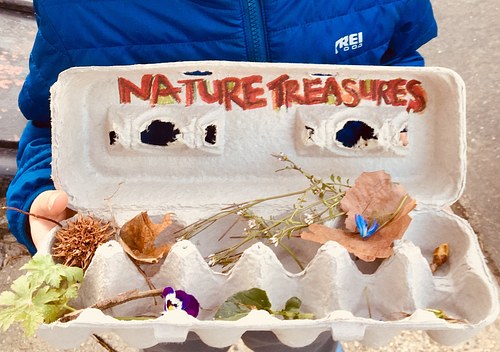 collecting nature treasures