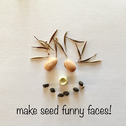 more at-home fun with seeds