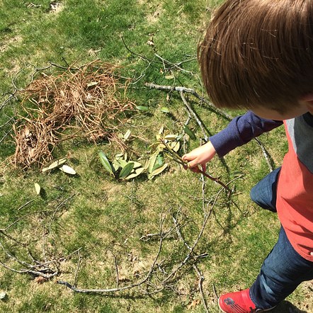 habitat lesson: making bird nests with found materials
