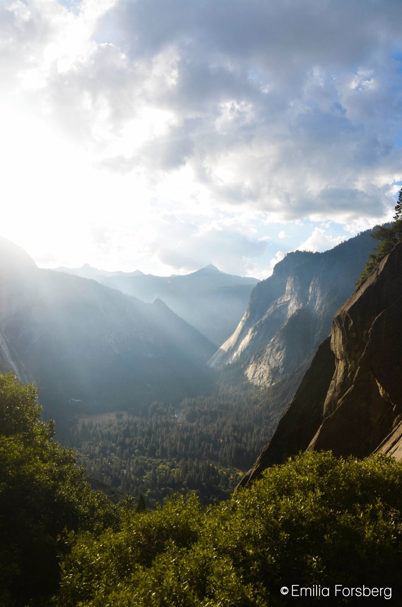 Yosemite : On Our Way To El Capitan