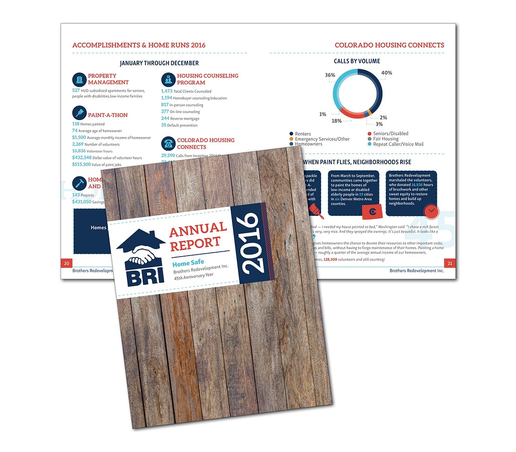BRI - Annual Report