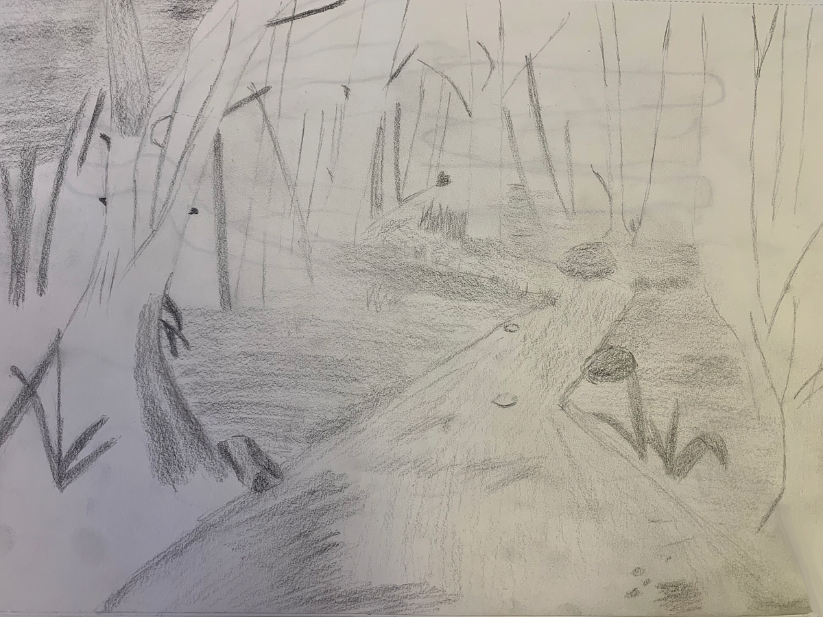 Forest Biome Sketch