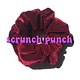 Scrunch Punch Logo