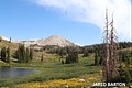 Sugarloaf Mountain, Snowy Range, Medicine Bow National Forest 