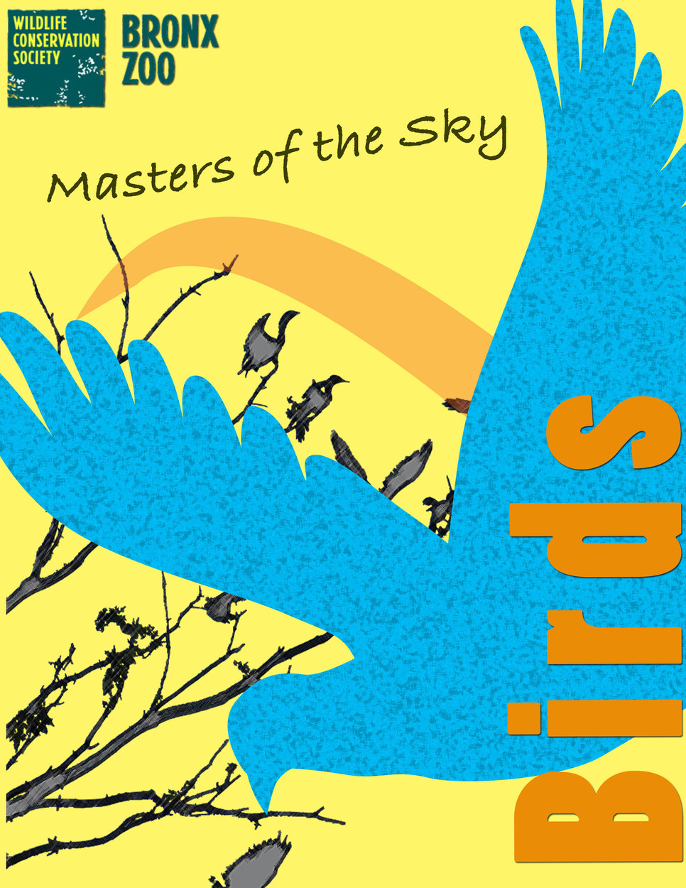 Birds of the Sky Flyer