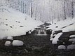 Sljemenski potok-mokri snijeg  2006.